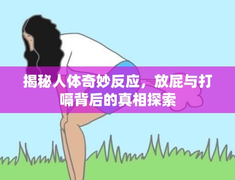 揭秘人體奇妙反應(yīng)，放屁與打嗝背后的真相探索