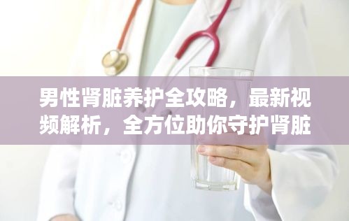 男性腎臟養(yǎng)護全攻略，最新視頻解析，全方位助你守護腎臟健康