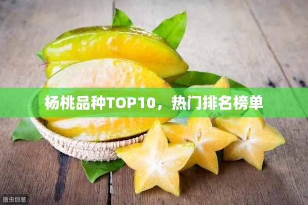 楊桃品種TOP10，熱門排名榜單