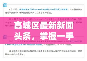 高城區(qū)最新新聞頭條，掌握一手資訊！