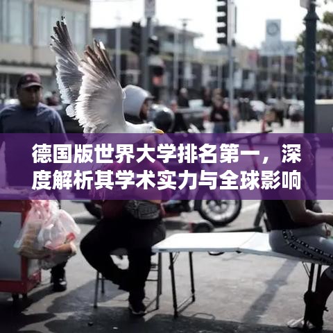德國版世界大學排名第一，深度解析其學術實力與全球影響力