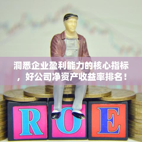 洞悉企業(yè)盈利能力的核心指標，好公司凈資產(chǎn)收益率排名！