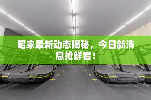 昭家最新動(dòng)態(tài)揭秘，今日新消息搶鮮看！