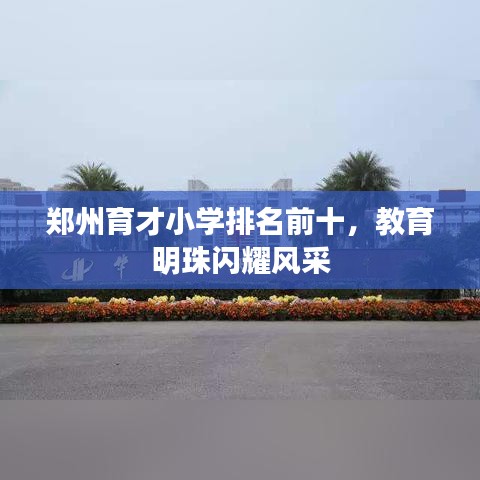 鄭州育才小學(xué)排名前十，教育明珠閃耀風(fēng)采