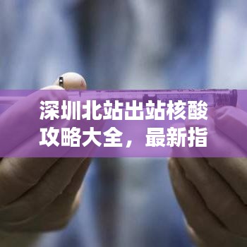 深圳北站出站核酸攻略大全，最新指南助你輕松通行