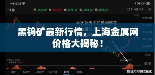黑鎢礦最新行情，上海金屬網(wǎng)價格大揭秘！
