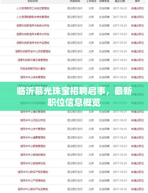 臨沂慕光珠寶招聘啟事，最新職位信息概覽