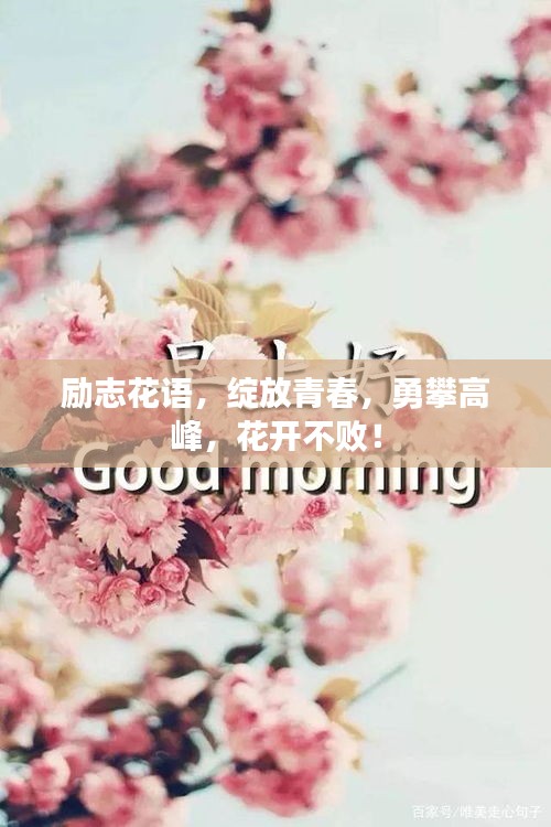 勵(lì)志花語(yǔ)，綻放青春，勇攀高峰，花開(kāi)不??！