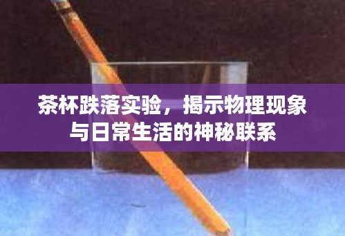 茶杯跌落實(shí)驗(yàn)，揭示物理現(xiàn)象與日常生活的神秘聯(lián)系
