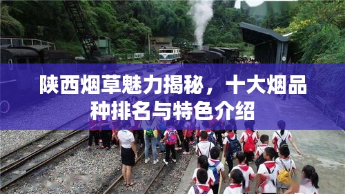 陜西煙草魅力揭秘，十大煙品種排名與特色介紹
