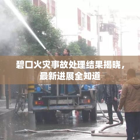 碧口火災(zāi)事故處理結(jié)果揭曉，最新進(jìn)展全知道