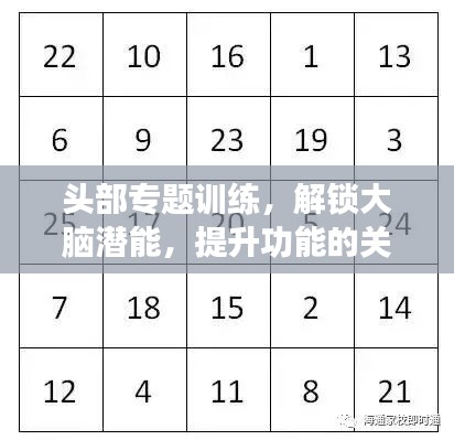 頭部專題訓(xùn)練，解鎖大腦潛能，提升功能的關(guān)鍵路徑