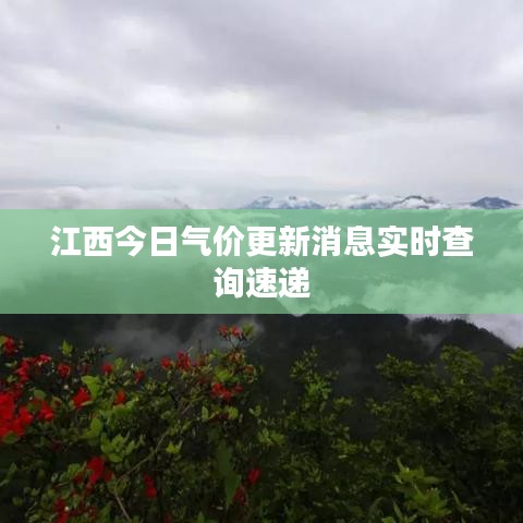 江西今日氣價更新消息實(shí)時查詢速遞