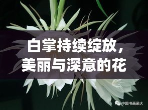 白掌持續(xù)綻放，美麗與深意的花語之旅