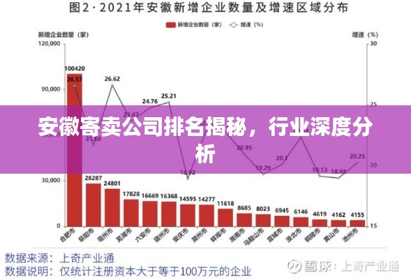 安徽寄賣公司排名揭秘，行業(yè)深度分析