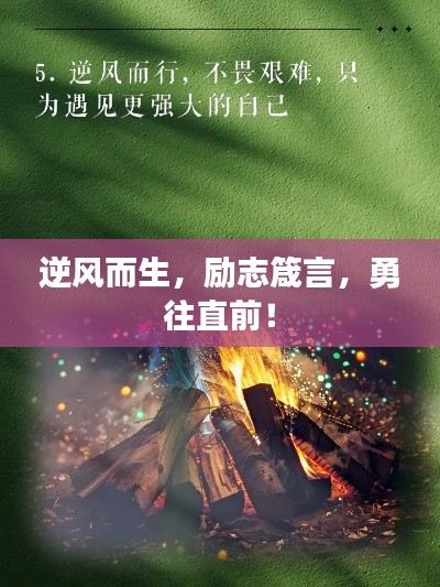 逆風(fēng)而生，勵(lì)志箴言，勇往直前！