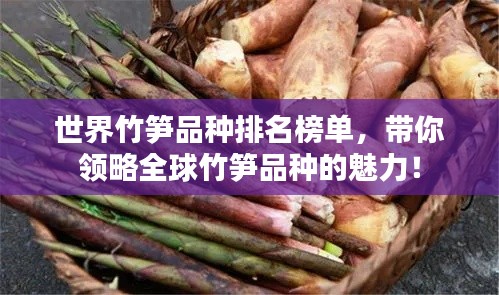 世界竹筍品種排名榜單，帶你領(lǐng)略全球竹筍品種的魅力！