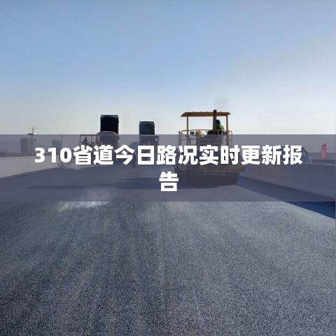 310省道今日路況實(shí)時更新報告