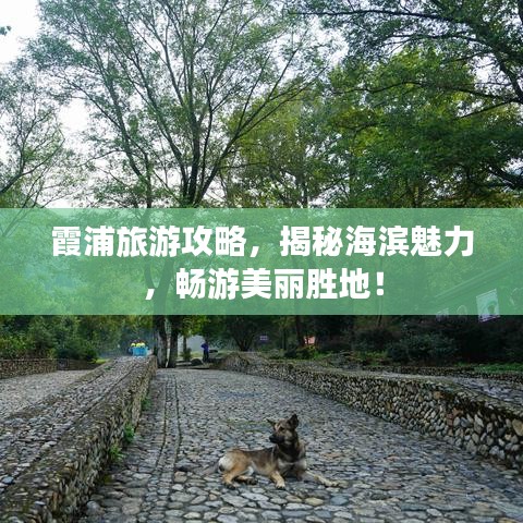 霞浦旅游攻略，揭秘海濱魅力，暢游美麗勝地！