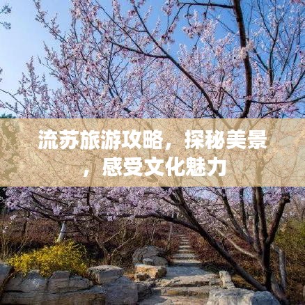 流蘇旅游攻略，探秘美景，感受文化魅力