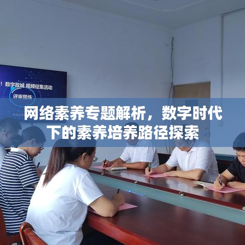 網(wǎng)絡(luò)素養(yǎng)專題解析，數(shù)字時代下的素養(yǎng)培養(yǎng)路徑探索