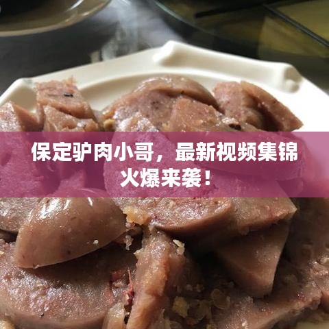 保定驢肉小哥，最新視頻集錦火爆來襲！
