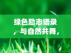 草率從事