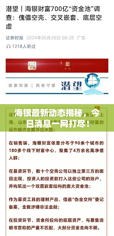 海銀最新動(dòng)態(tài)揭秘，今日消息一網(wǎng)打盡！