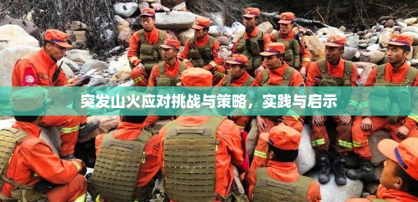 突發(fā)山火應(yīng)對挑戰(zhàn)與策略，實踐與啟示