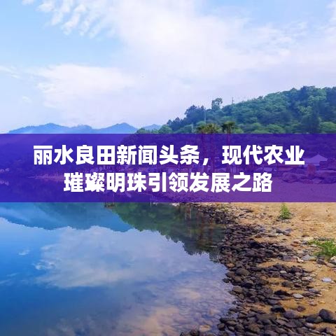 麗水良田新聞頭條，現(xiàn)代農(nóng)業(yè)璀璨明珠引領(lǐng)發(fā)展之路
