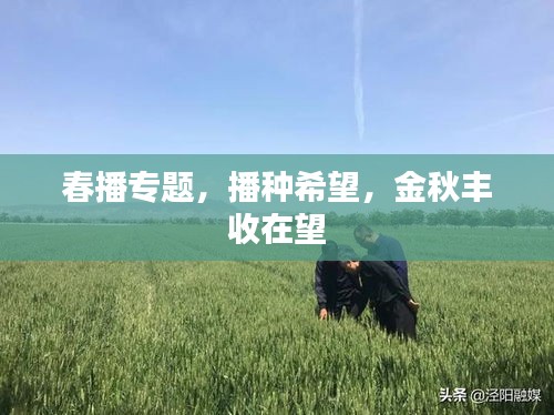 春播專題，播種希望，金秋豐收在望