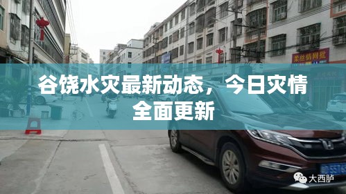 谷饒水災(zāi)最新動(dòng)態(tài)，今日災(zāi)情全面更新