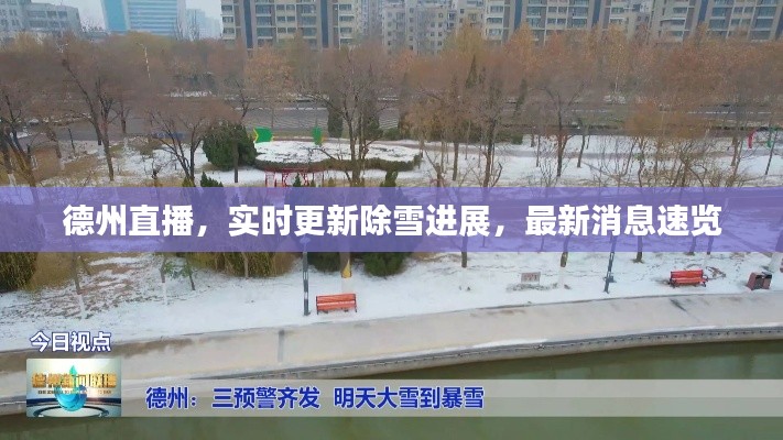 德州直播，實時更新除雪進展，最新消息速覽