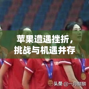蘋果遭遇挫折，挑戰(zhàn)與機(jī)遇并存，逆境中的機(jī)遇與挑戰(zhàn)