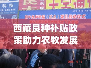井蛙之見