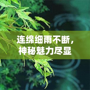 連綿細雨不斷，神秘魅力盡顯