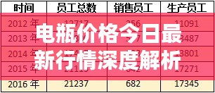 電瓶價(jià)格今日最新行情深度解析