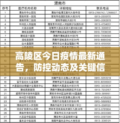 高陵區(qū)今日疫情最新通告，防控動態(tài)及關(guān)鍵信息匯總