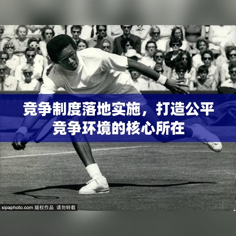 競爭制度落地實施，打造公平競爭環(huán)境的核心所在