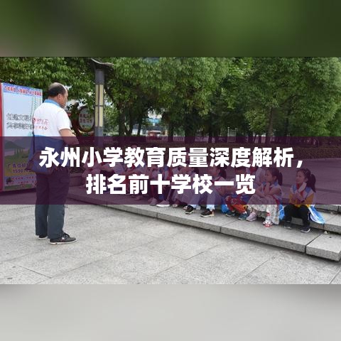 永州小學(xué)教育質(zhì)量深度解析，排名前十學(xué)校一覽