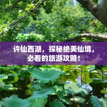 許仙西湖，探秘絕美仙境，必看的旅游攻略！