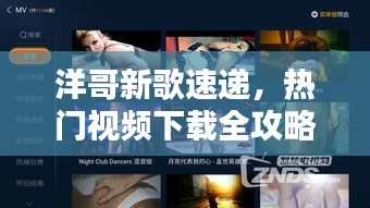 洋哥新歌速遞，熱門視頻下載全攻略
