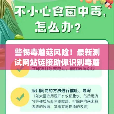 警惕毒蘑菇風(fēng)險！最新測試網(wǎng)站鏈接助你識別毒蘑菇，保障健康