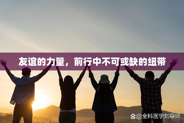 友誼的力量，前行中不可或缺的紐帶