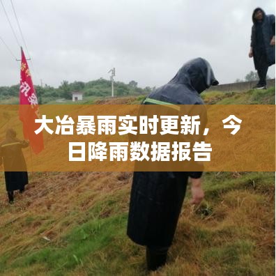 大冶暴雨實時更新，今日降雨數據報告