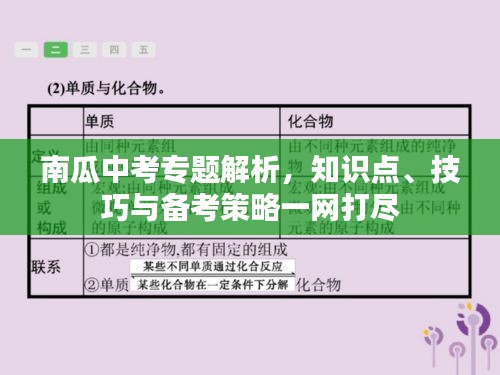 南瓜中考專題解析，知識點(diǎn)、技巧與備考策略一網(wǎng)打盡