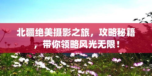 管窺蛙見