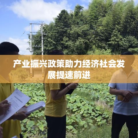 產(chǎn)業(yè)振興政策助力經(jīng)濟社會發(fā)展提速前進