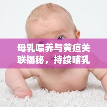 母乳喂養(yǎng)與黃疸關(guān)聯(lián)揭秘，持續(xù)哺乳助力退黃，科學(xué)解讀黃疸與母乳關(guān)系