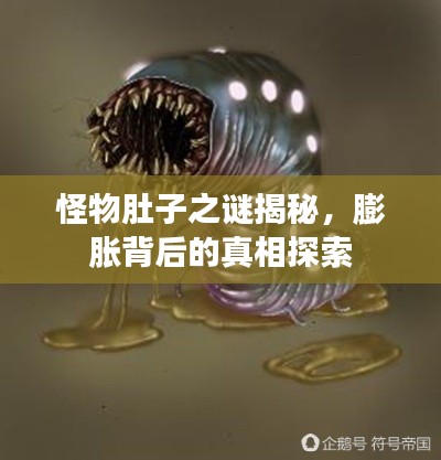 怪物肚子之謎揭秘，膨脹背后的真相探索